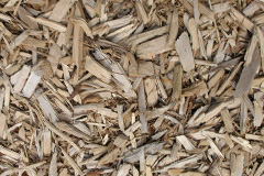 biomass boilers Carbis